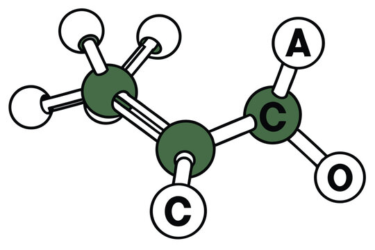 23 Molecular structure, 3D model, chloroform molecule, carbon tetrachloride molecule, methane molecule, green and white atoms, black carbon atoms, ball-and-stick representation, chemical bonds, organi