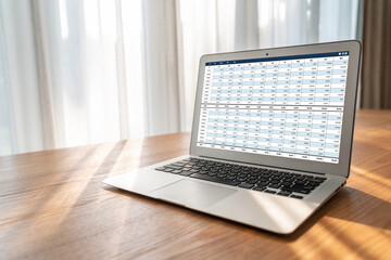 Accounting software on computer screen showing financial statement spreadsheets and account balance...