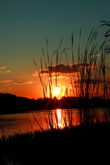 Summer sunset over the lake. Summer or autumn landscape.