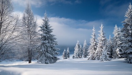 Obraz premium trees in a snow covered winter landscape