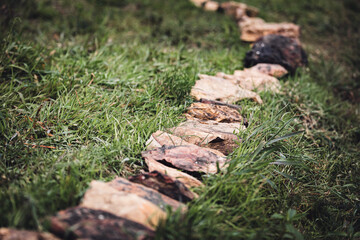 Stones in a queue on the lawn