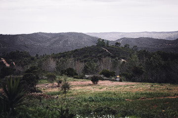 disc golf course landscape in the mountains