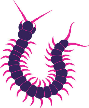 Stylized centipede creature featuring vibrant pink and purple colors in a flat vector art style