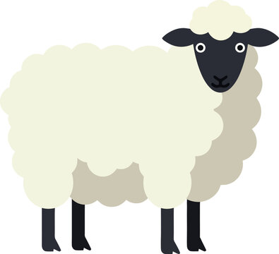 Cute fluffy sheep standing on green grass in a minimal flat design vector illustration