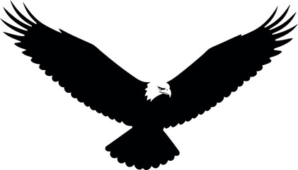 Obraz premium Majestic eagle soaring with outstretched wings in minimalistic design vector art