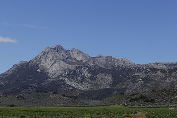 LAS PILAS DE ALFARNATE. ANDALUCIA. 