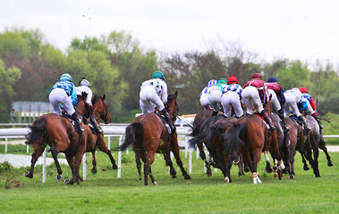 Caballos y jockeys de Turf con chaquetillas de colores de espaldas galopando en una curva del hip&oacute;dromo en d&iacute;a de carreras