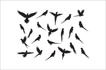 Bird Silhouette Bundle | Flying Birds Vector Clipart | SVG, PNG, EPS for Cricut & Laser Cutting

Birds Vector Silhouettes | Wildlife Animal SVG Files | Digital Bird Clipart for Crafts & Decor

Flying 