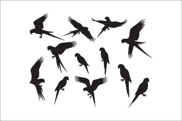 Obraz premium Bird Silhouette Bundle | Flying Birds Vector Clipart | SVG, PNG, EPS for Cricut & Laser CuttingBirds Vector Silhouettes | Wildlife Animal SVG Files | Digital Bird Clipart for Crafts & DecorFlying 