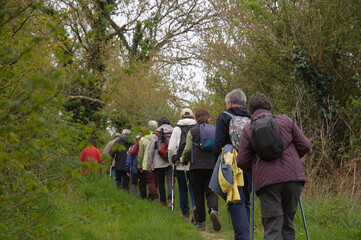Groupe de randonneurs dans la campagne en Bretagne