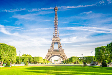 Fototapeta premium Paris Eiffel Tower over green grass lane in Paris, France. Eiffel Tower is one of the most iconic landmarks of Paris.