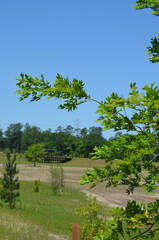 Houston in the Springtime
