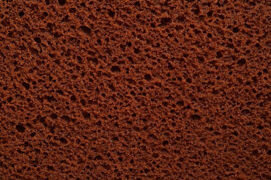 Close-up of chocolate cake texture with rich brown color and airy crumb