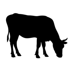 Cow Grazing Silhouette, Cow Grazing, Farm Animal, Black Silhouette