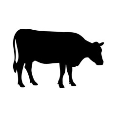 Cow Silhouette Stock Image, Cow Art, Farm Logo, Animal Vector

