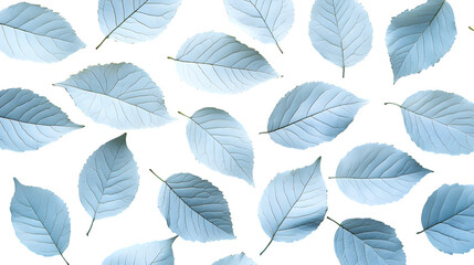Collection of white leaves scattered randomly isolated on white background