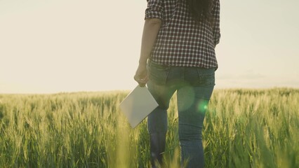 farmer in boots walks across a green field with a tablet in his hands in the glare of the sunset,...