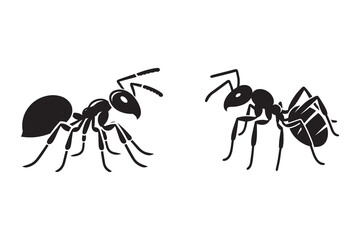 Ant silhouette with white background