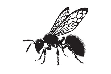 Flying ant silhouette with white background