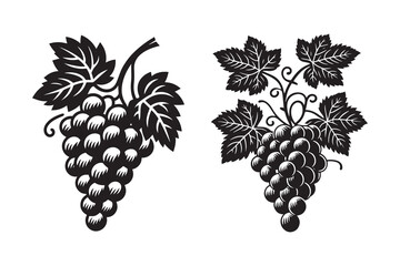 Obraz premium Grapes silhouette with white background