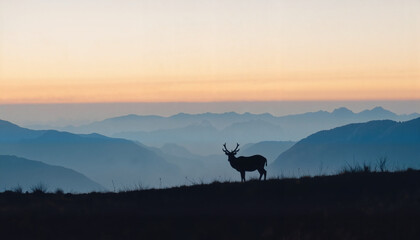 Silhouette of a Deer Against a Misty Mountain Landscape at Dusk for Nature Blogs, Wildlife Education, and Outdoor Adventure Content
