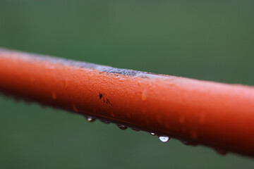Orange steel pipes with drops of water. Orange pipe on green background. Water drops under a steel...