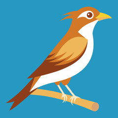 vector illustration of a bird