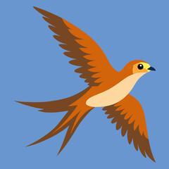 vector illustration of a flying bird