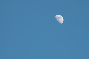 A photo of daytime Moon on a blue sky in a waxing phase (waxing gibbous) taken in Northern Hemisphere.