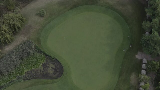 Drone Golf