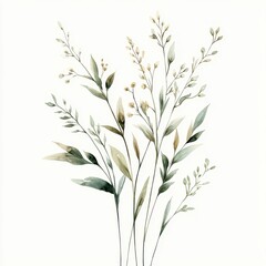Obraz premium Simple Meadow Grass Watercolor – Thin Flowing Blades with Tiny Seeds in Soft Green and Brown Tones