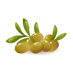 Green olives. For bottle product package, cuisine cooking or salad.Vector image of olives in cartoon flat simple style