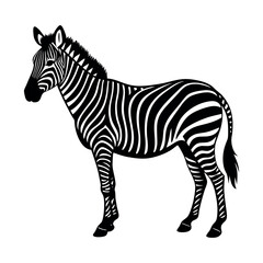 Zebra Silhouette Vector – Wild African Animal in Black and White Isolated on White Background