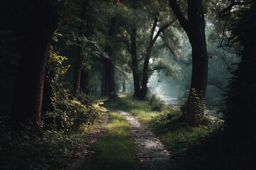 Obraz premium Moody shadowy forest path winding between towering deciduous trees soft light filtering through heavy branches create a mysterious ambiance
