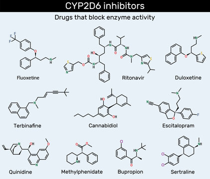 CYP2D6 inhibitors. Terbinafine, cannabidiol, escitalopram, fluoxetine, quinidine, duloxetine, sertraline, bupropion, methylphenidate, ritonavir molecule. Vector scientific illustration