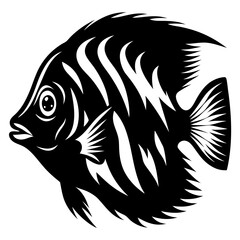 Striking Black and White Angelfish Illustration Aquatic Life Design Tropical Fish Artwork Monochrome Marine Animal Graphic
