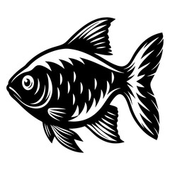 Black and White Illustration of a Fish with Detailed Fins and Scales