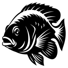 A Striking Black and White Illustration of a Tilapia Fish a Detailed Closeup View Showing Fins Scales and Mouth