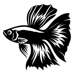 Stunning Black and White Illustration of a Siamese Fighting Fish Betta Splendens Aquatic Animal