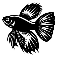 A Stunning Black and White Illustration of a Betta Fish with Elaborate Fins