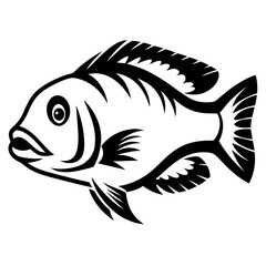 Stylized Black and White Illustration of a Cichlid Fish a Tropical Freshwater Fish