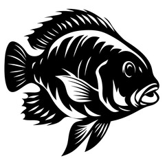 A Stylized Black and White Illustration of a Tilapia Fish with Intricate Details