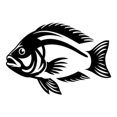 Stylized Black and White Illustration of a Fish a Detailed Drawing of an Aquatic Creature