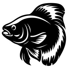 A Striking Black and White Illustration of a Fish with Elaborate Fins