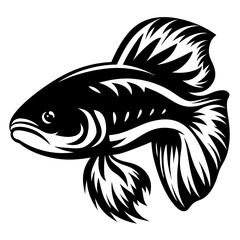 A striking black and white illustration of a betta fish with flowing fins and detailed scales