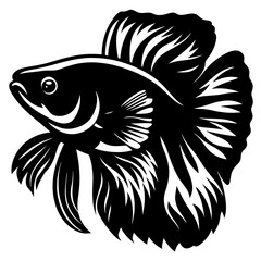 Black and White Illustration of a Siamese Fighting Fish Betta Splendens Aquatic Animal Artwork