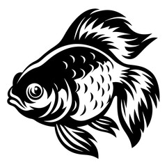 Black Moor Goldfish Illustration Aquatic Animal Design Graphic Art