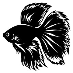Black Betta Fish Illustration Artistic Design Graphic Silhouette Aquatic Animal