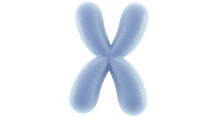 Isolated Chromosome