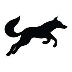 black cat on white background